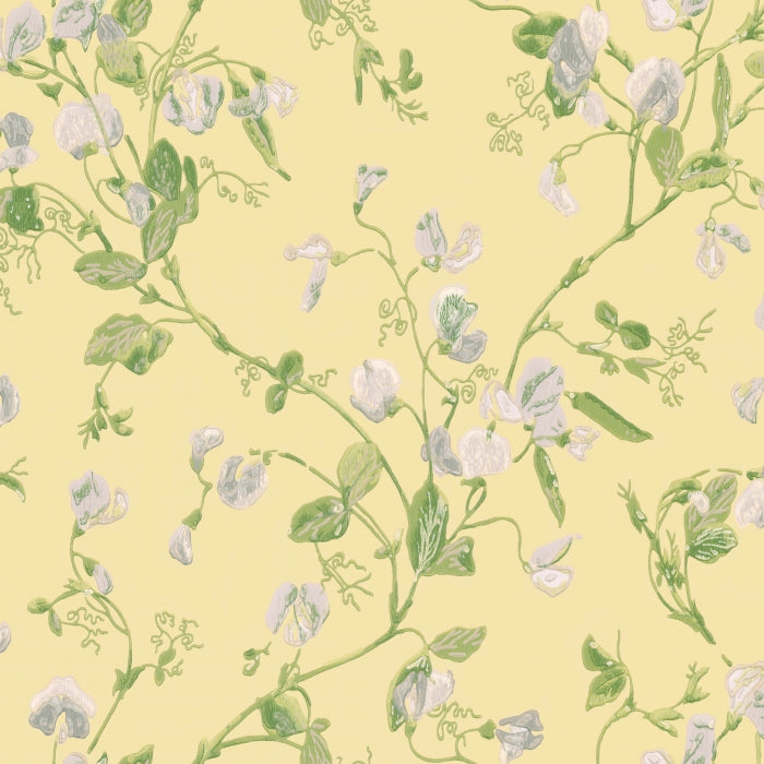 Cole &amp; Son Botanical ~Botanica~ Sweet Pea behang 100/6029