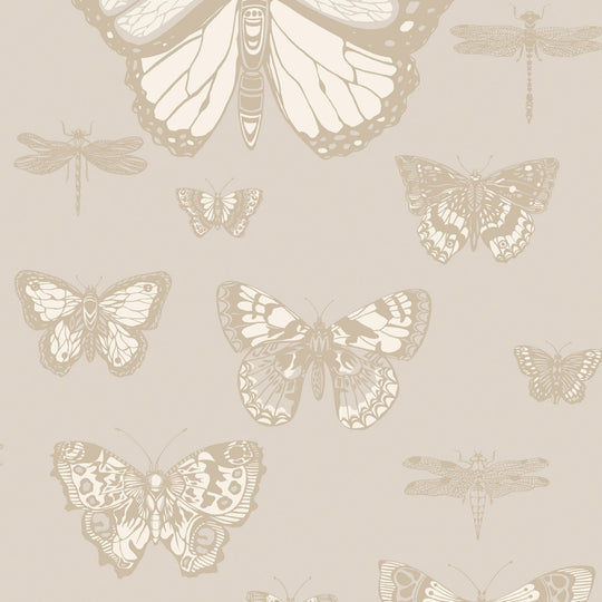 Cole &amp; Son Whimsical Butterflies &amp; Dragonflies behang 103/15064