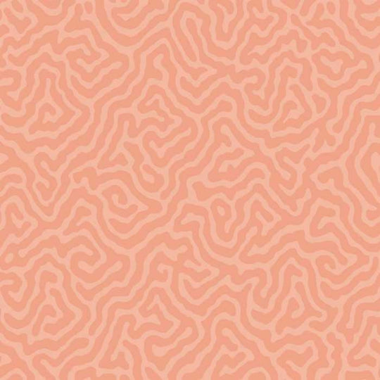 Cole &amp; Son Landscape Plains Coral behang 106/5075