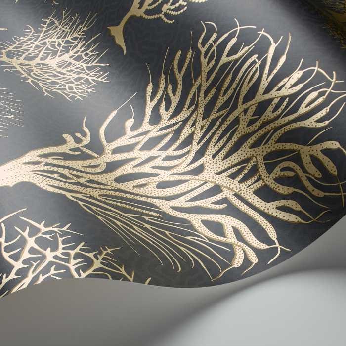 Cole &amp; Son Curio Seafern behang 107/2006