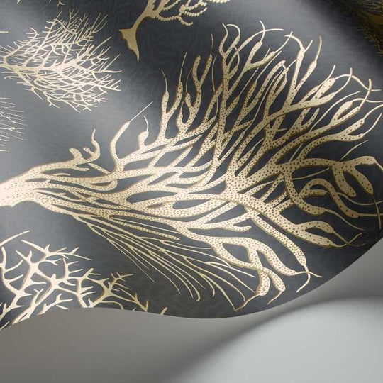 Cole &amp; Son Curio Seafern behang 107/2006