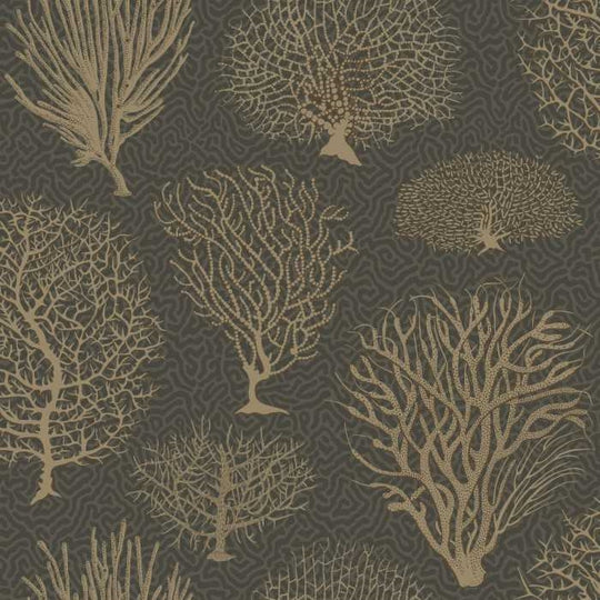 Cole &amp; Son Curio Seafern behang 107/2006