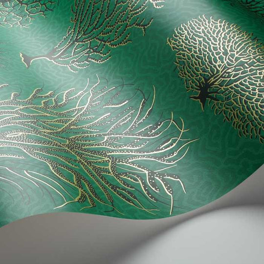 Cole &amp; Son Curio Seafern behang 107/2007