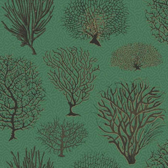 Cole &amp; Son Curio Seafern behang 107/2007