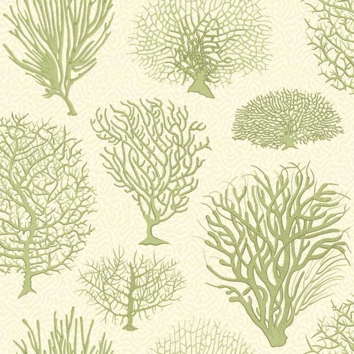Cole &amp; Son Curio Seafern behang 107/2008