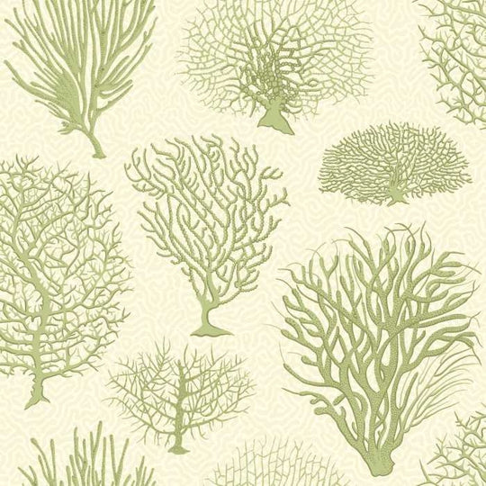 Cole &amp; Son Curio Seafern behang 107/2008