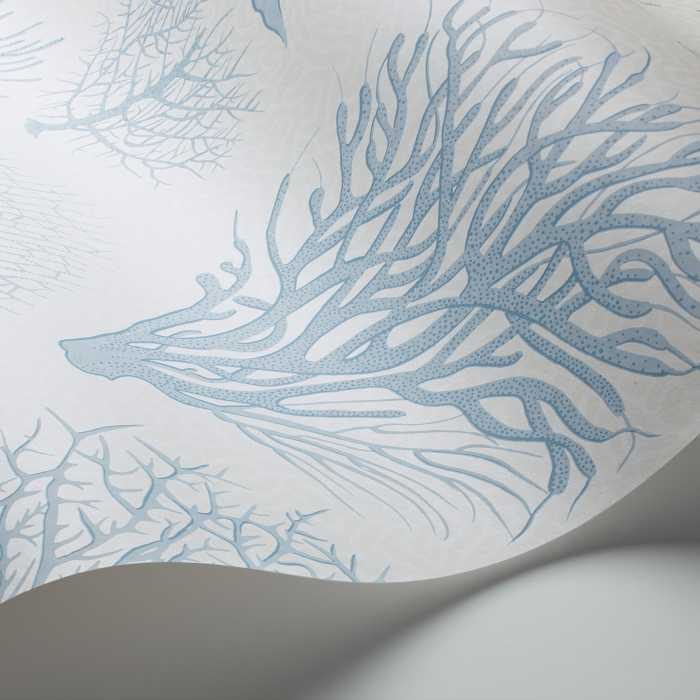 Cole &amp; Son Curio Seafern behang 107/2009