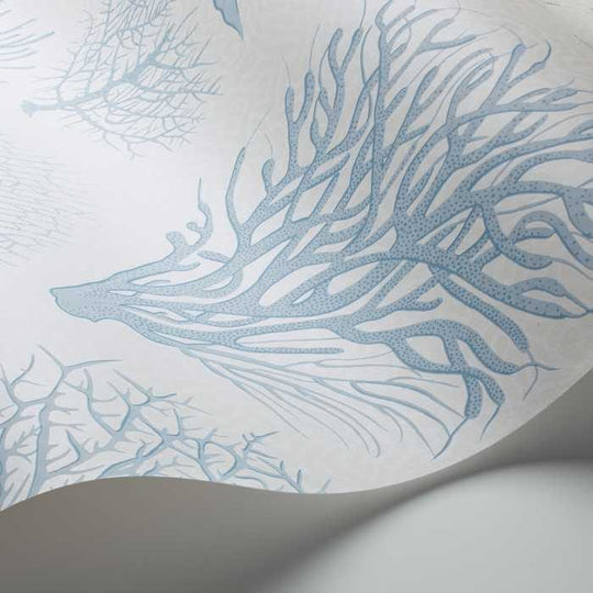 Cole &amp; Son Curio Seafern behang 107/2009