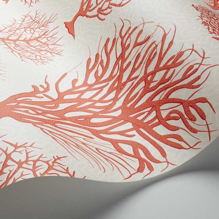 Cole & Son Curio Seafern behang 107/2011