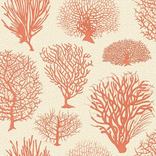Cole &amp; Son Curio Seafern behang 107/2011