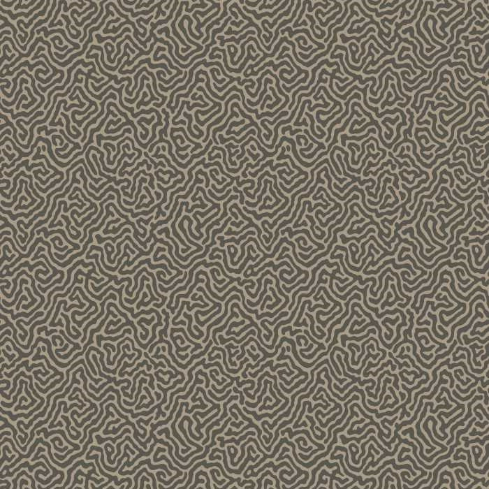 Cole &amp; Son Curio Vermicelli behang 107/4017