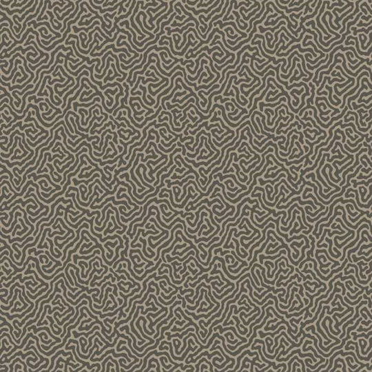 Cole &amp; Son Curio Vermicelli behang 107/4017