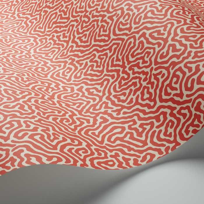 Cole & Son Curio Vermicelli behang 107/4018