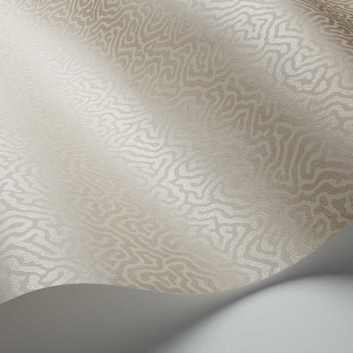 Cole & Son Curio Vermicelli behang 107/4019