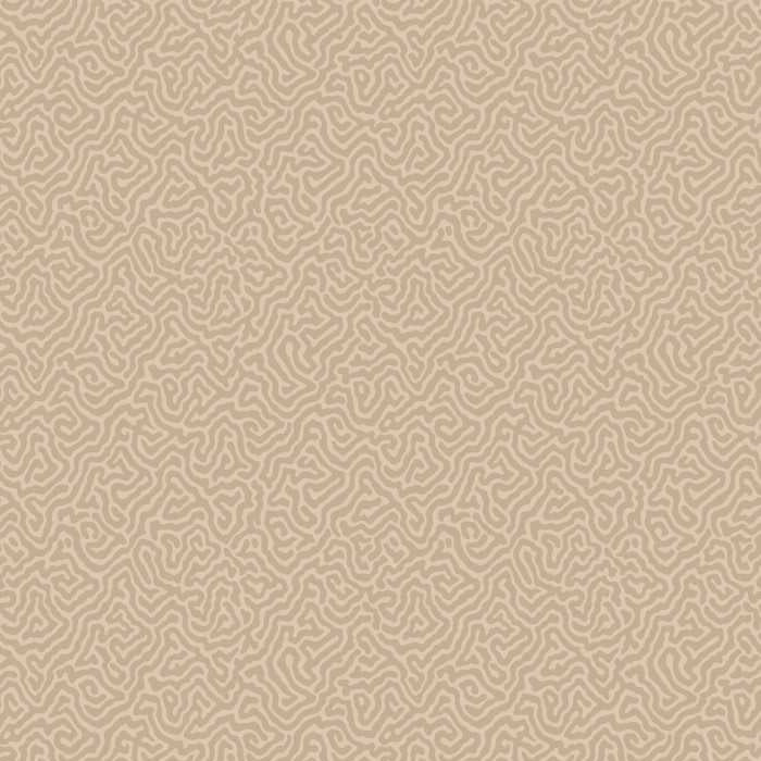Cole &amp; Son Curio Vermicelli behang 107/4019
