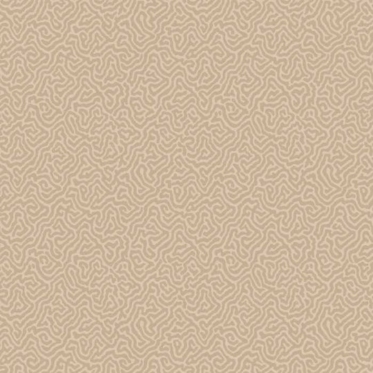 Cole &amp; Son Curio Vermicelli behang 107/4019