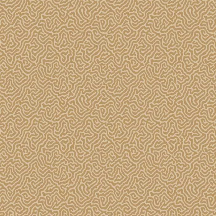 Cole &amp; Son Curio Vermicelli behang 107/4021