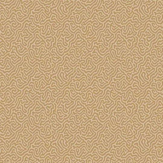 Cole &amp; Son Curio Vermicelli behang 107/4021