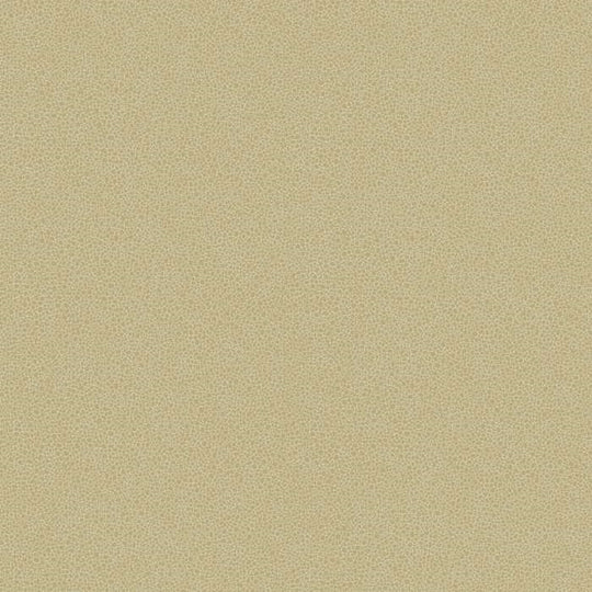 Cole &amp; Son Curio Goldstone behang 107/9041