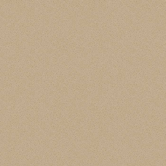 Cole &amp; Son Curio Goldstone behang 107/9042