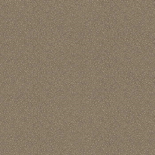 Cole &amp; Son Curio Goldstone behang 107/9043