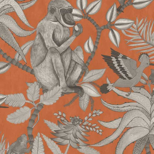 Cole &amp; Son Ardmore Collection Savuti behang 109/1001