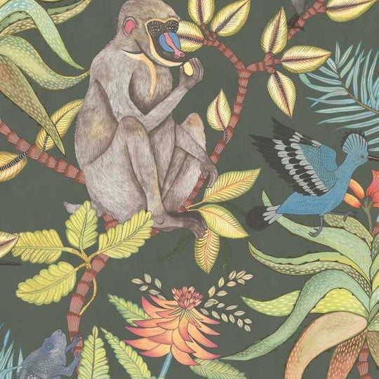 Cole &amp; Son Ardmore Collection Savuti behang 109/1006