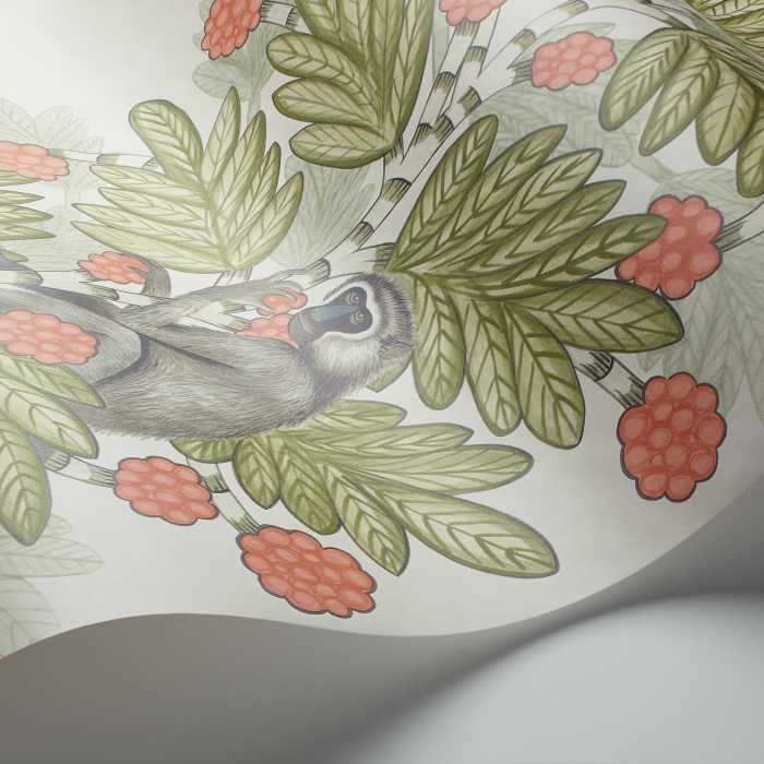 Cole & Son Ardmore Collection Acacia behang 109/11051