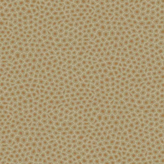 Cole &amp; Son Ardmore Collection Senzo Spot behang 109/6029