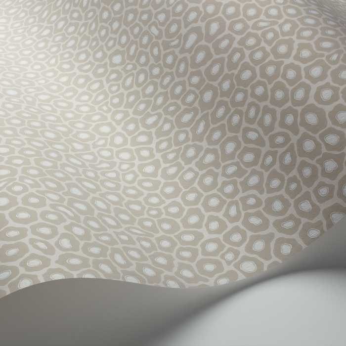 Cole & Son Ardmore Collection Senzo Spot behang 109/6030