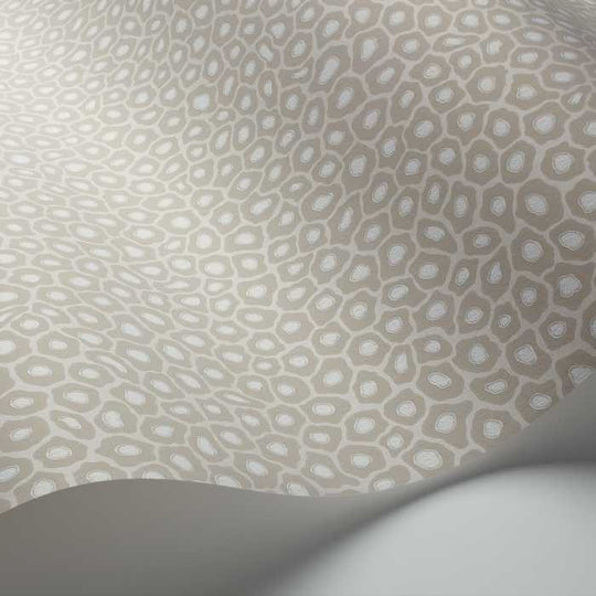 Cole &amp; Son Ardmore Collection Senzo Spot behang 109/6030