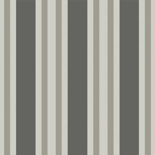 Cole &amp; Son Marquee Stripes Polo Stripe behang 110/1001
