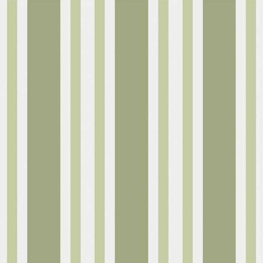 Cole &amp; Son Marquee Stripes Polo Stripe behang 110/1003