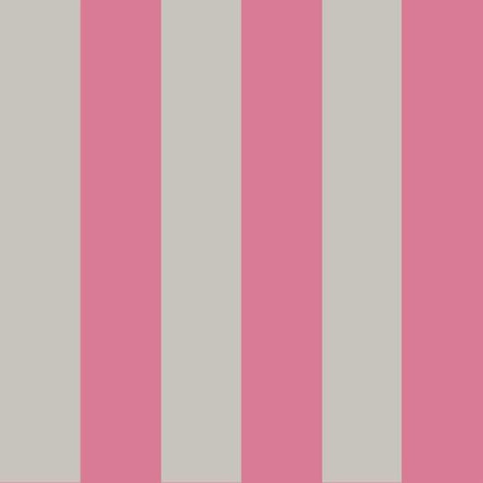 Cole &amp; Son Marquee Stripes Glastonbury Stripe behang 110/6031
