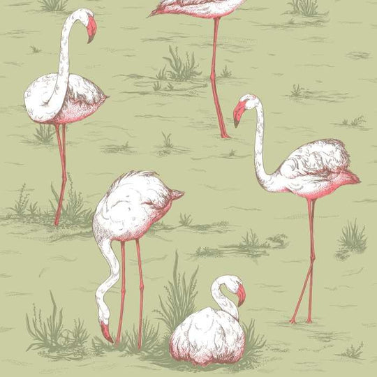 Cole &amp; Son The Contemporary Selection Flamingos behang 112/11038
