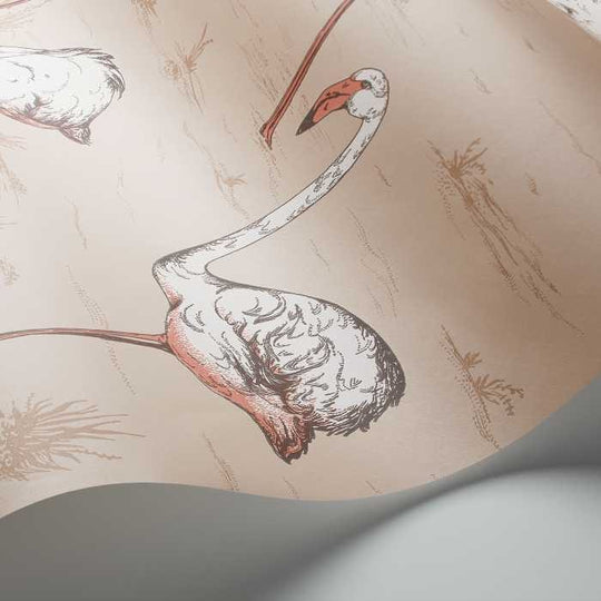 Cole &amp; Son The Contemporary Selection Flamingos behang 112/11039