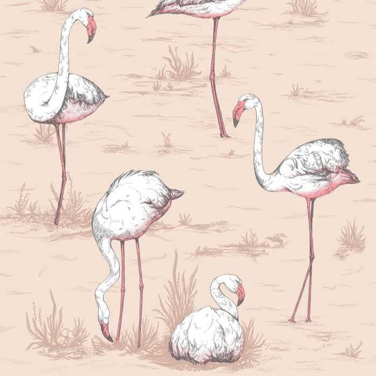 Cole &amp; Son The Contemporary Selection Flamingos behang 112/11039