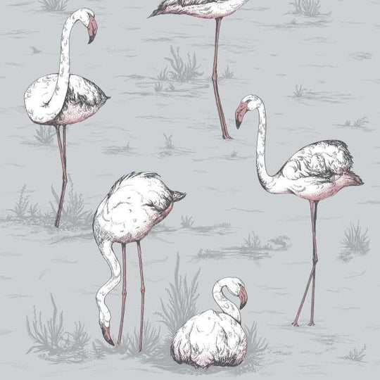 Cole &amp; Son The Contemporary Selection Flamingos behang 112/11040