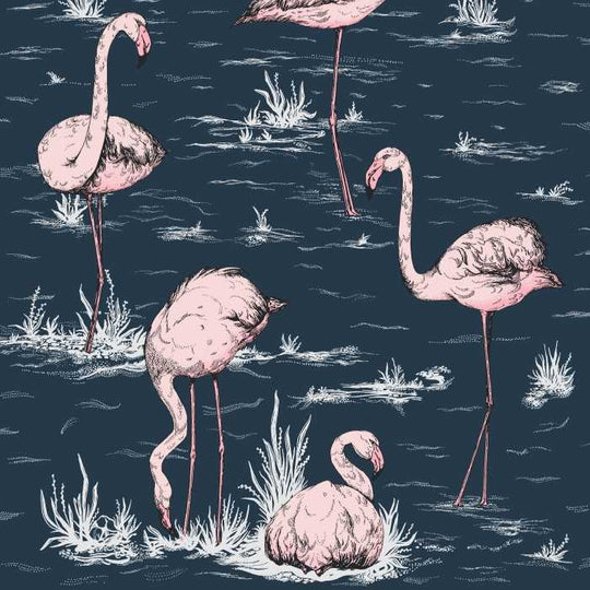 Cole &amp; Son The Contemporary Selection Flamingos behang 112/11041