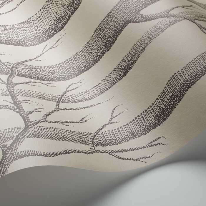 Cole & Son The Contemporary Selection Woods behang 112/3009