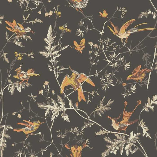 Cole &amp; Son Selection of Hummingbirds Hummingbirds behang 112/4017