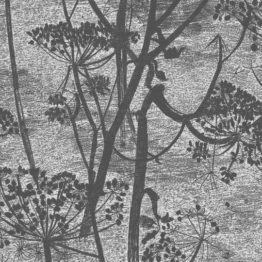Cole &amp; Son The Contemporary Selection Cow Parsley behang 112/8026