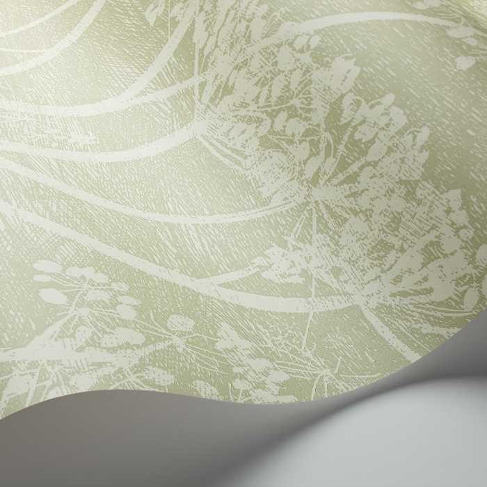 Cole & Son The Contemporary Selection Cow Parsley behang 112/8029