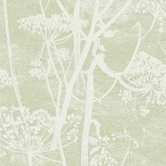 Cole &amp; Son The Contemporary Selection Cow Parsley behang 112/8029