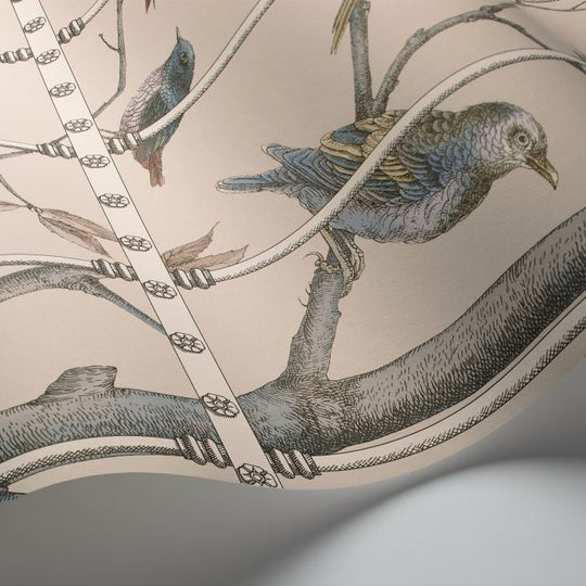 Cole &amp; Son Fornasetti Selection Uccelli behang 114/11022