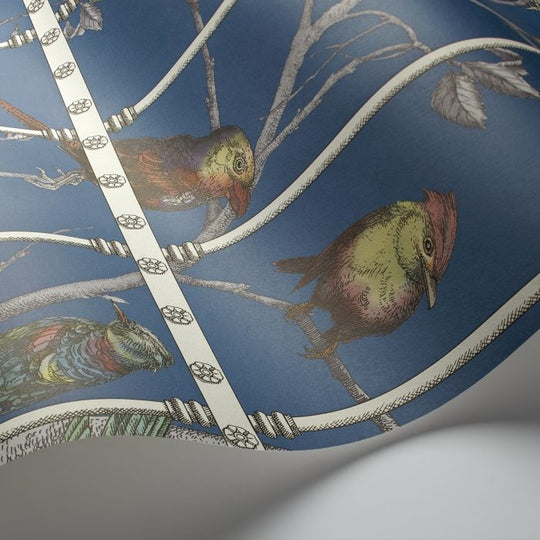 Cole &amp; Son Fornasetti Selection Uccelli behang 114/11023