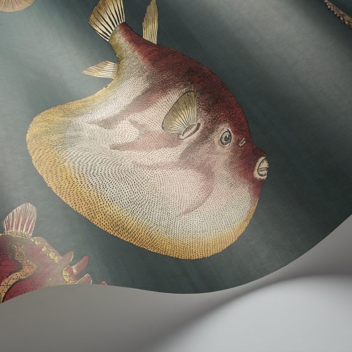 Cole &amp; Son Fornasetti Selection Acquario behang 114/12024