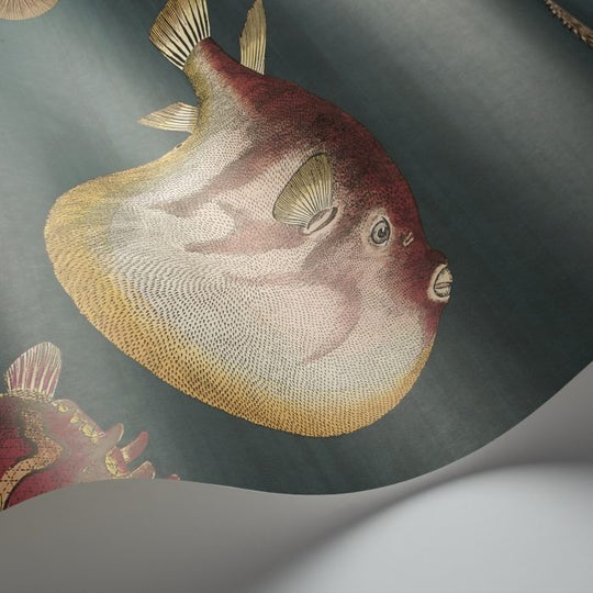 Cole &amp; Son Fornasetti Selection Acquario behang 114/12024