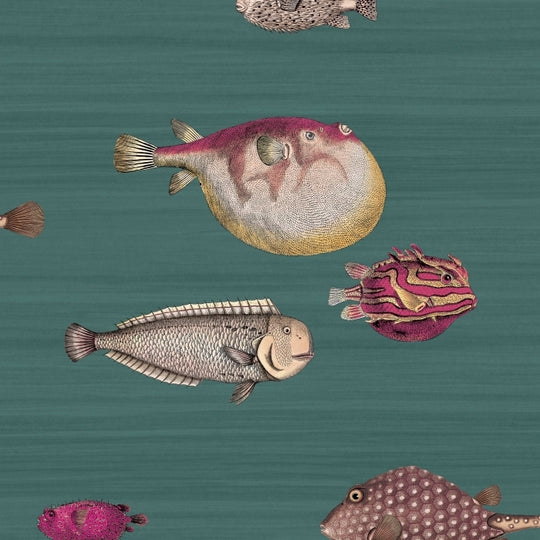 Cole &amp; Son Fornasetti Selection Acquario behang 114/12024