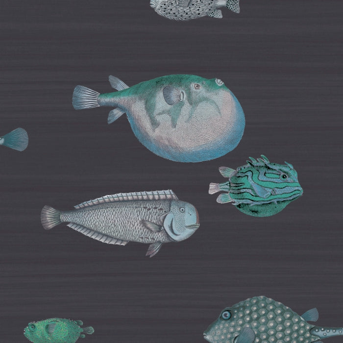 Cole &amp; Son Fornasetti Selection Acquario behang 114/16032